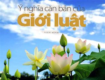 y-nghia-can-ban-gioi-luat