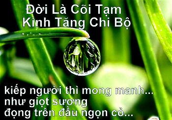 doi la coi tam